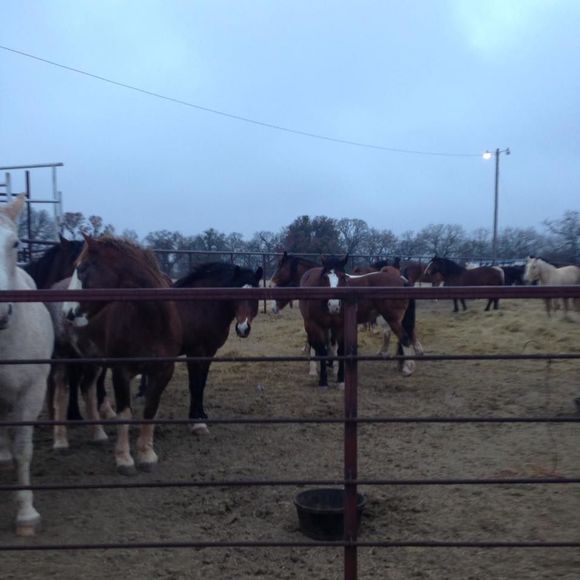 Meet your Posher, Robert - Picture 1 of 1